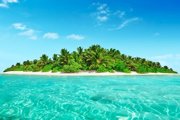 whole-tropical-island-within-atoll-tropical-ocean-uninhabited-wild-subtropical-isle-with-palm-trees-equatorial-part-ocean-tropical-island-resort_50153 (2)